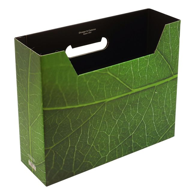 Etrangedy Costa Rica File Box, Green, A4, Up1 GRN-51-02