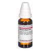 DHU Viscum album D12 Dilution, 20 ml Lösung