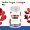 GlucoGen- Blood Support- 10 Bottles- 600 Capsules