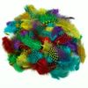 Creation Station 28 g Spotted Feathers, Assorted Colours, 28g