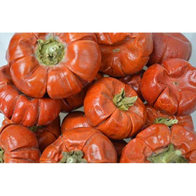 Falcon Workshop Supplies Ltd 20 DRIED MINI PUMPKIN SOLANUM WHOLE FRUIT, HALLOWEEN CHRISTMAS CRAFT WREATH FLORIST