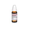 Harpagophytum procumbens D12 DHU Dilution, 20 ml Lösung