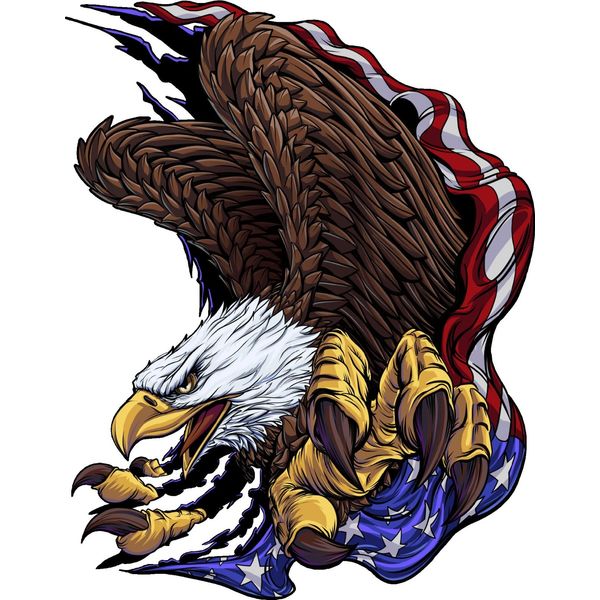 American Flag Eagle  Decal Extra Large - Trailer Wall Truck- High Quality!! USA