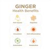 Ginger People The Ginger Rescue Chewable Ginger Tablets, Orange, Mighty Mango, 0.55 Oz , 24 Count