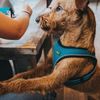 Hunter - Arnes Hilo Comfort Xxs-Xs Turquoise