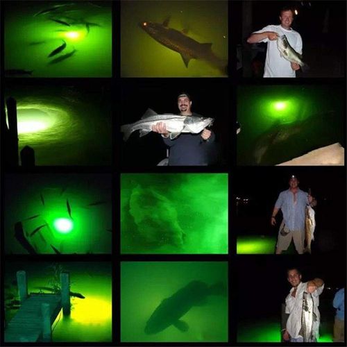 BLUERICE Submersible Fish Finder, Underwater Lure Bait Light, Fish Attracting Lamp, Night Fishing Light, Boat Fishing Light, Pool Light 12V 10.8W 180 LEDs 1080 Luminous IP68 with 5M Cord (Green)
