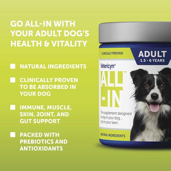 Vetericyn ALL-IN Adult Complete Dog Supplement. Natural, Daily Supplement with Absorption Technology. Bone and Joint Support, Promote Muscle Recovery, Healthy Digestion, and Improve Coat. 90 Tablets