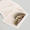 Lantern Press Hedgehogs (52 Playing Cards, Poker Size Card Deck with Jokers)