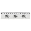'steak' 15cm (6 Inch) White Plastic Ruler (RL00076097)