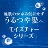 h&s コンディショナー モイスチャー ポンプ 370g