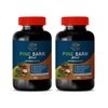 immune support for adults - PINE BARK EXTRACT - brain body diet 2BOTTLE