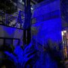 Lunmore Firefly Garden Lights Star Projector Laser Christmas Lights