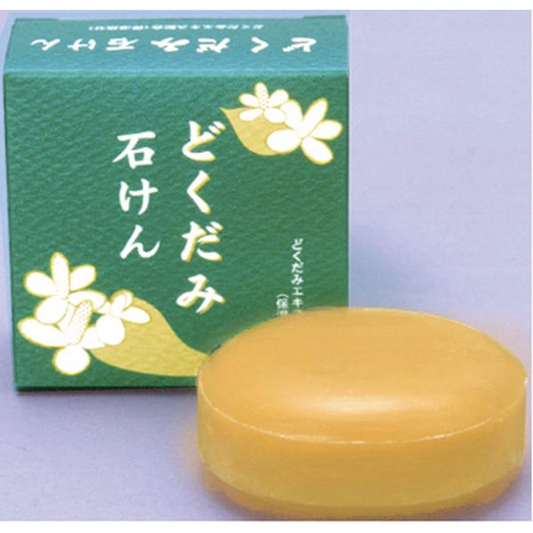 Reiwa - First come, first served sale Chino Shiosha Houttuynia Cordata Soap 100g (Soap containing Houttuynia cordata extract) (4982757911531)