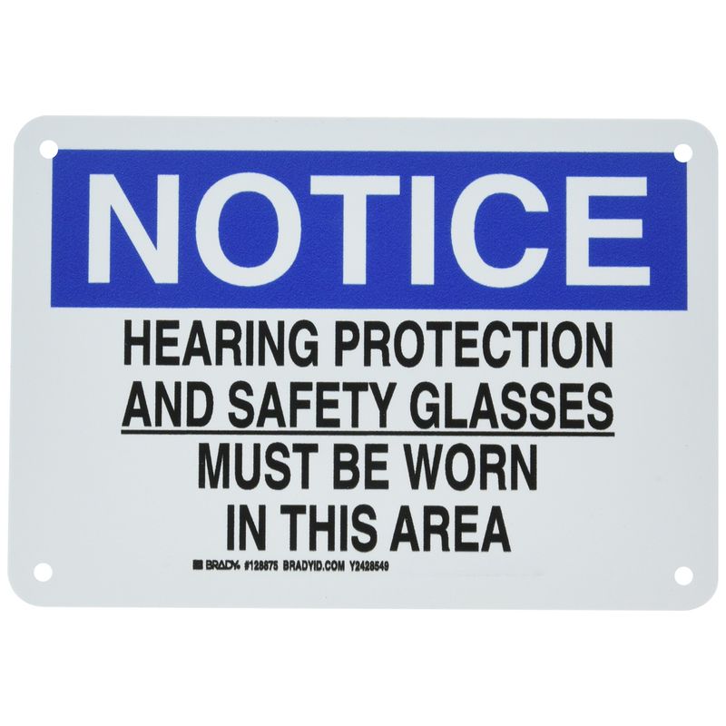 Brady 128875 Personal Protection Sign, Legend 