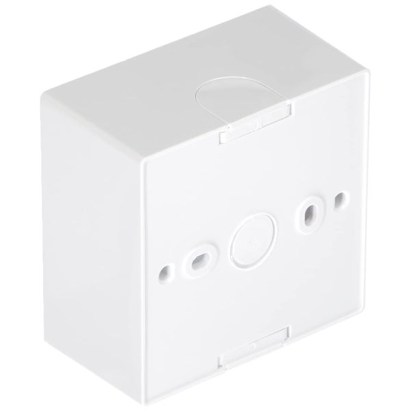 Busch-Jaeger 1701-24G 84 Surface-Mounted Casing