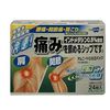 【第2類医薬品】オムニード0.5IDパップ 24枚