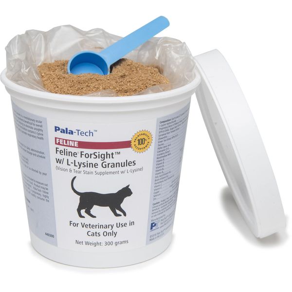 Forsight L-Lysine Granules (300 gm)