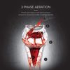 Final Touch Conundrum Aerator for Wine Decanters
