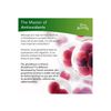 Terry Naturally Clinical Glutathione 60 Tablets, 1 Pack