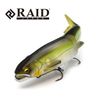 Raid Japan Osakana Slide 170 02. Hustler