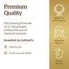 Solgar Evening Primrose Oil 1300 mg, 60 Softgels - Promotes Healthy Skin & Cardiovascular Health - Nutritional Support for Women - Non-GMO, Gluten Free, Dairy Free - 60 Servings