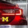 Steel Magnet Michigan M Yellow