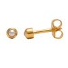 Studex Gold Plated Regular White Pearl for Ear Piercing