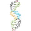 CafePress DNA Sticker Oval Car Bumper Sticker