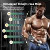 Dynamic Vitality Bundle - Sea Moss Multivitamin & Shilajit Power Combo US