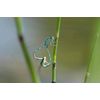Das Wunder der Natur