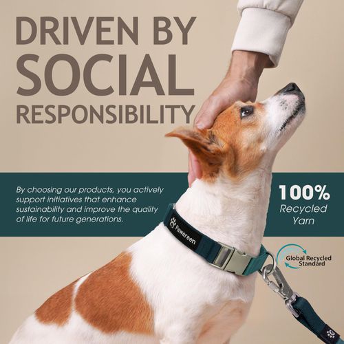 Pawereen Dog Leash, Eco-Friendly Recycled Polyester Webbing | Soft Hypoallergenic, Durable Metal Swivel Hook, Collar Attachable, 5.2 ft Length | Size S, Dark Sea