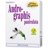 Andrographis Paniculata Capsules Pack of 60