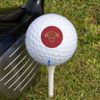 Flagler College Primary Logo Novelty Golf Balls 3 Pack