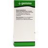 UNDA Gemmo Therapy Acer Campestre | Field Maple Bud Extract | 4.2 fl. oz.