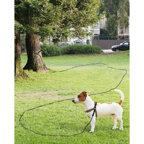 Taglory Dog Tie Out, Long Dog Leash 15FT 30FT 50FT 66FT, Recall Training Leash with 2 Swivel Hooks for Large Medium Small Dogs Walking, Camping, or Backyard, Black 30FT