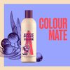 Aussie Colour Mate Shampoo, 500 ml