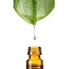 Leucidal® Liquid Complete SF, 10 ml from Dragonspice Naturwaren 10 ml