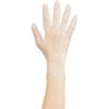 Utsunomiya Production Singer Plastic Gloves, Powderless S, 100 Sheets x 20