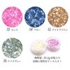 Nail Crush Shell 0.07 oz (2 g) (16. Ice Gray)