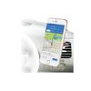 Mayhem Car Phone Holder Ring Bear