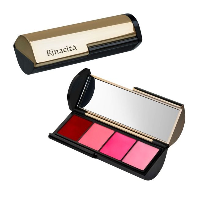 Linacita Tone-up Stick Palette Angelina Park Jun-geum Tone-up Rouge Lipstick 4-color Lip Palette