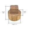 Thrifco 5318089 1/8 Inch Brass Plug Fitting