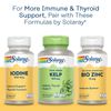 Solaray No Yeast Selenium 100 mcg | 90 VegCaps