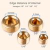 Atoplee 20pcs Brass External Thread Inner Hex Head Plug 1/8" 1/4" 3/8" 1/2" Internal Hex Thread Socket Pipe Plug Adapter Fitting [5pcs of Each Size]