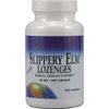 PLANETARY HERBALS Slippery Elm Lozenges, Unflavored, 200 Count