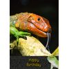 Lizard Birthday Card