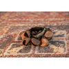 Meinl FR1P Ankle Shaker, Pangi Seeds