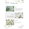 EIR Capsule Serum