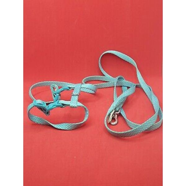 Outdoor Training Kitten Harness & Lead Set Adjustable Baby Blue Polka Dot Print