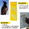 SARABA Crow-kun Crow Repelling Crow Protection Goods, 6.6 ft (2 m), Single Type